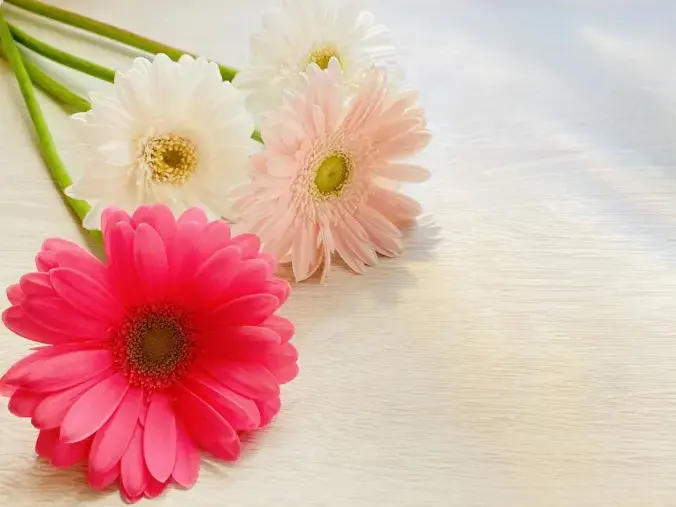 良縁コンシェルジュ町田「№1674　花をプレゼントする男性が増えています！」- 2