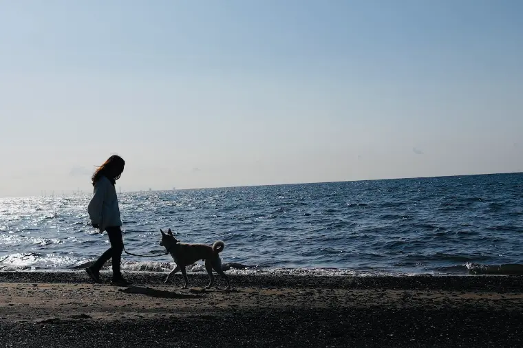 ズッキーニからの学び｜心を開くことの大切さ