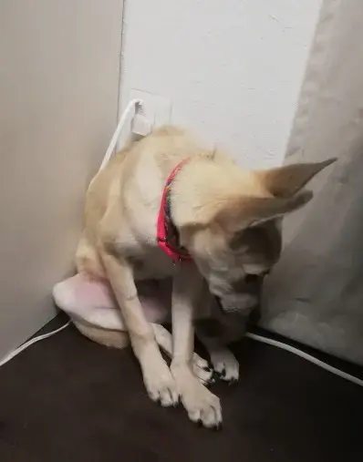 ズッキーニ結婚相談所「ズッキーニからの学び｜心を開くことの大切さ」- 2