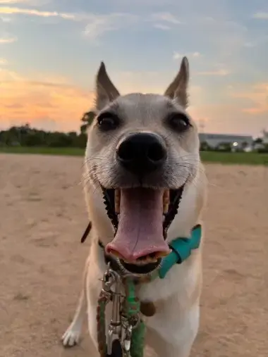 ズッキーニ結婚相談所「ズッキーニからの学び｜心を開くことの大切さ」- 3
