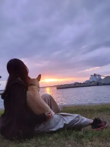 ズッキーニ結婚相談所「ズッキーニからの学び｜心を開くことの大切さ」- 4