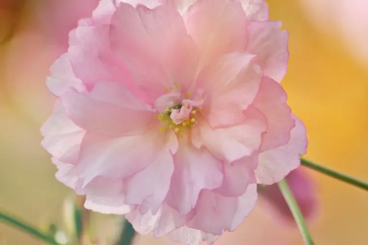 仕事の減点方式を卒業！良縁を引き寄せる３つの心の習慣