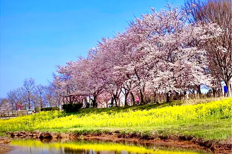 彩り-to be c「結婚って何が良いの？」-1