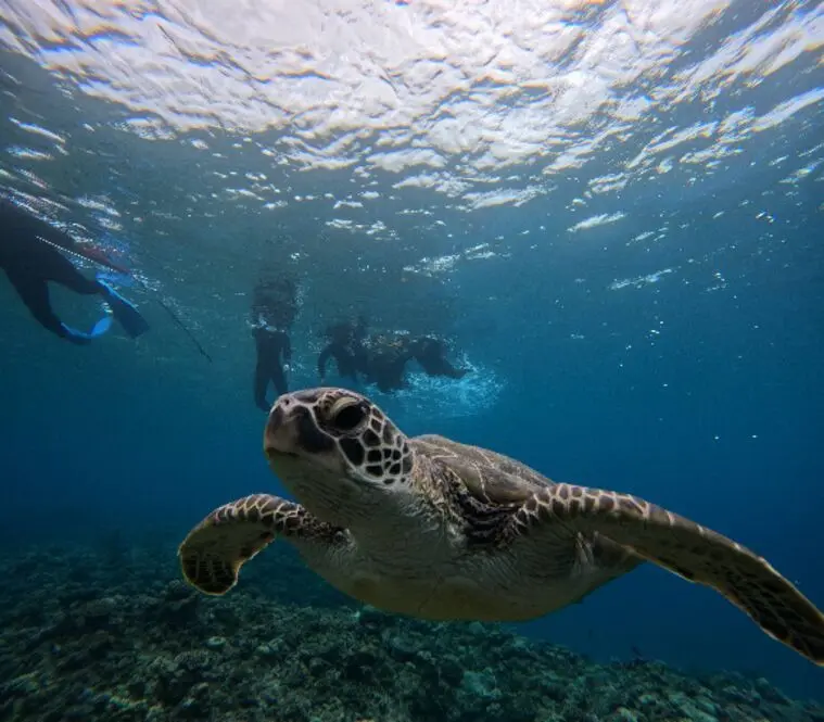 2回目のデートに進む男性が実はやっていること