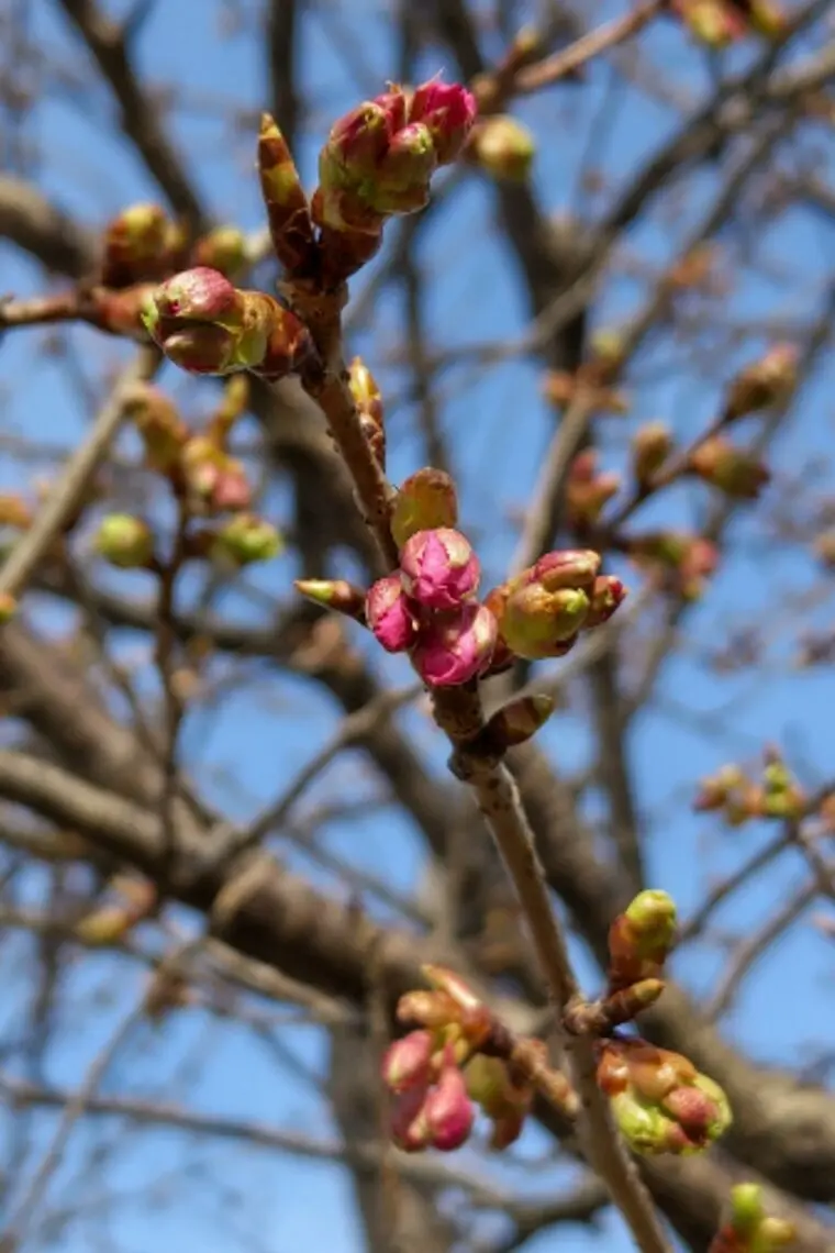 婚活は人気投票ではありません