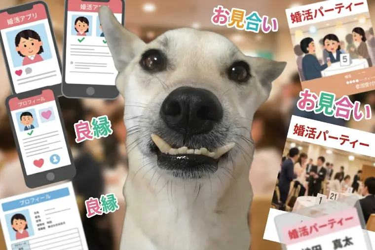 婚活成功のコツ｜うまくいかない婚活から抜け出すヒント