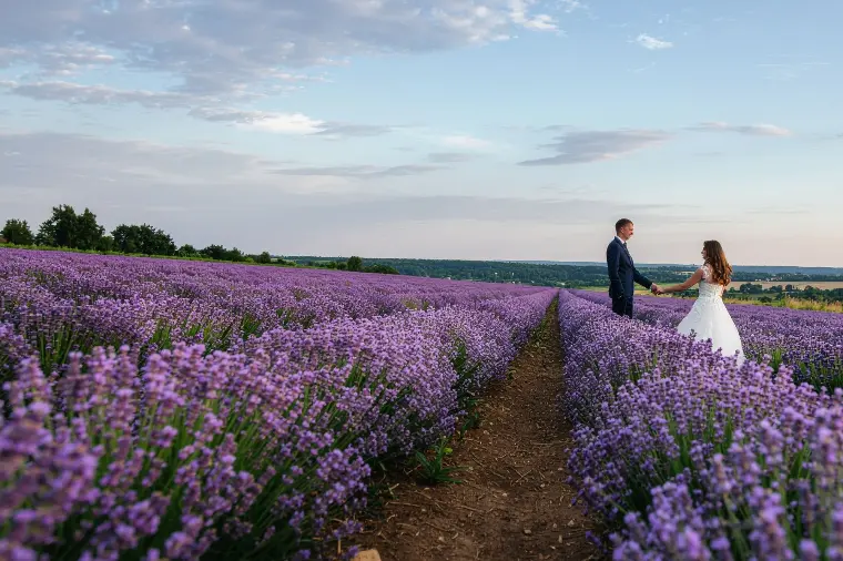 「いい人いたら結婚したいです」の真意は？