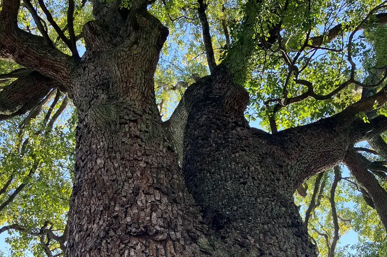 活動で一番大事なこと