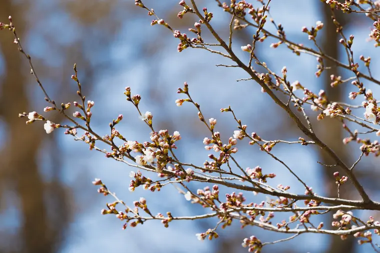 婚活を頑張る皆様へ