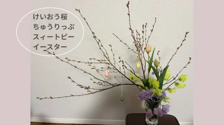 桜にも咲く順番があるようにご縁にもタイミングがあります