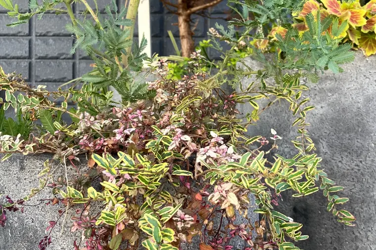 他の人はどんな感じですか