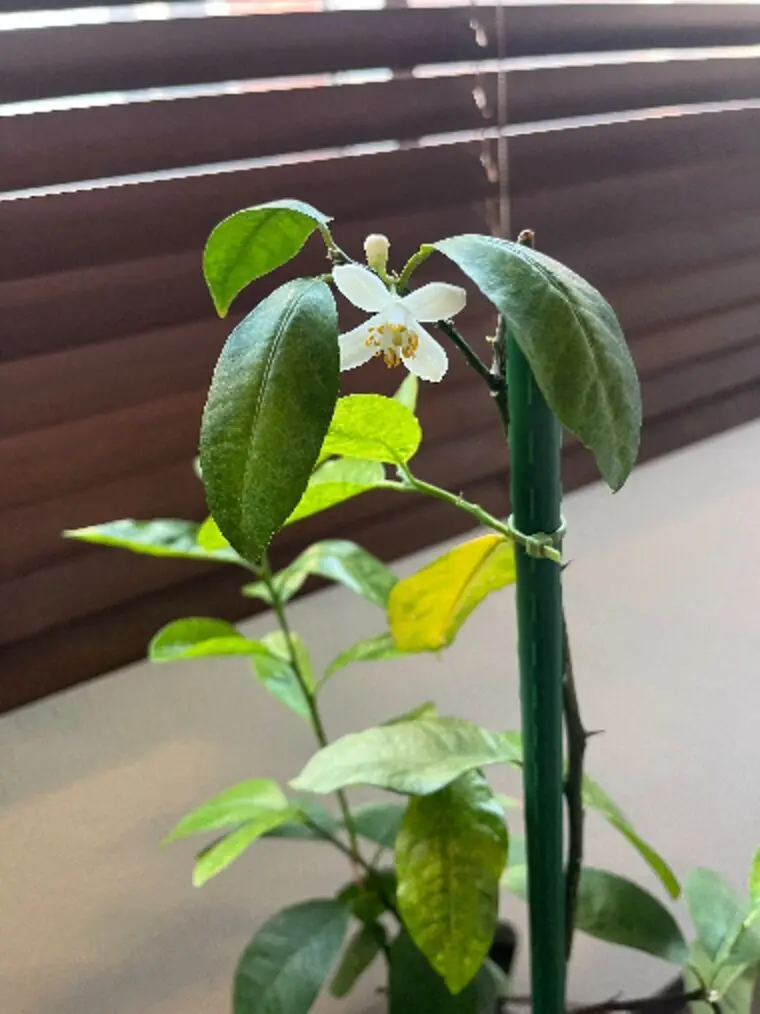 婚活が始まる場所✨