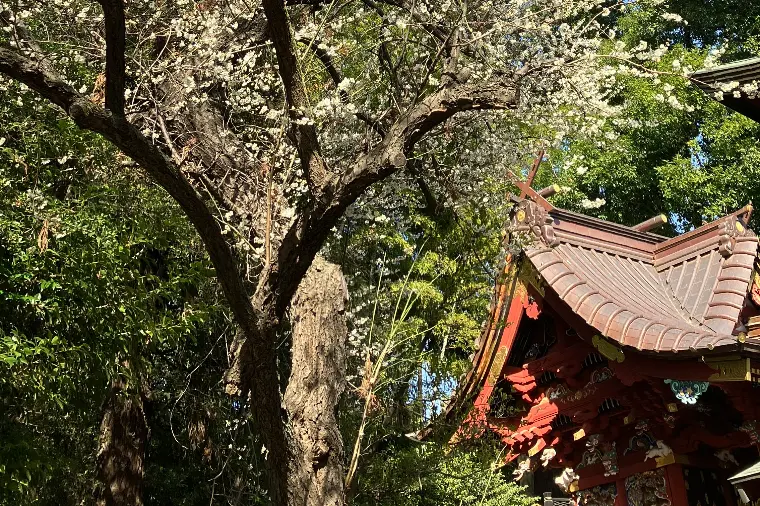 じつは、ご縁が進む人はやっている