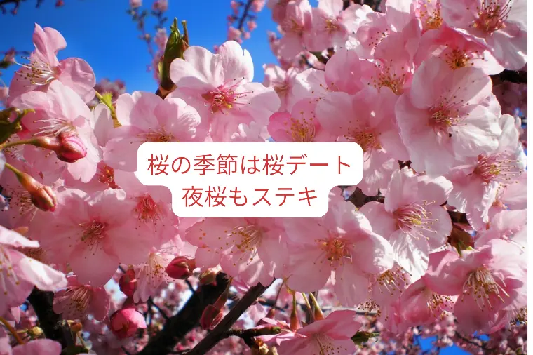 世は卒業旅行やらシーズンスタートの桜旅行などでにぎやか