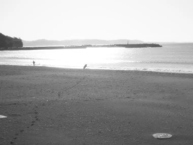 後悔しない男性の選び方