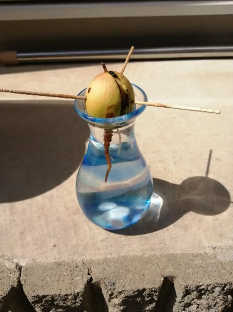 手軽だけど一番効果のある『自分磨き』とは