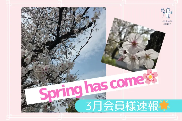《3月会員さま速報：春本番！婚活、動いています🌸》