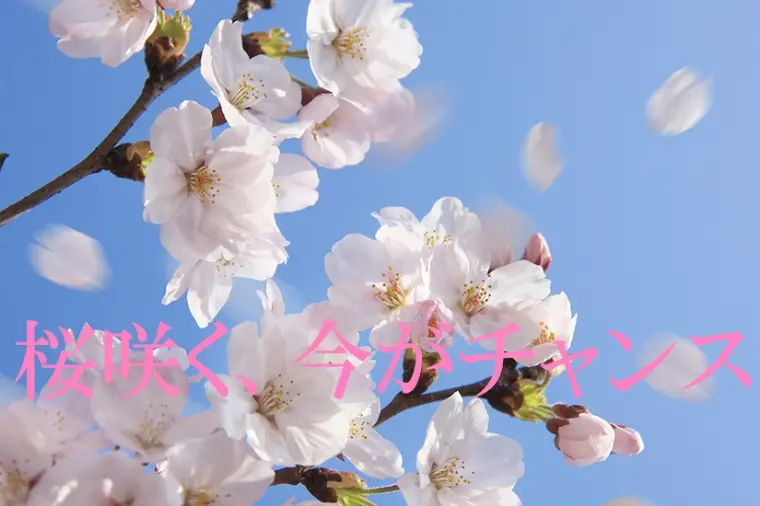 4月からの婚活が上手くいく3つのポイント