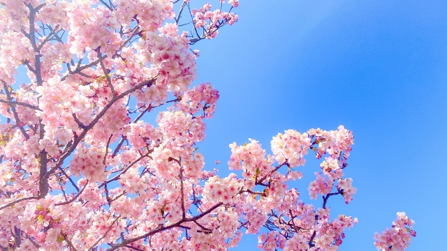 Kanael 結婚相談所「「春」に最高のパートナーを引き寄せるヒント」- 2