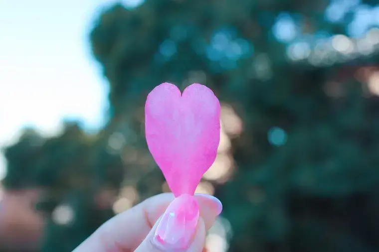 結婚相談所  First「お花見デートで一気に距離が縮まる5つのコツ🌸」- 3