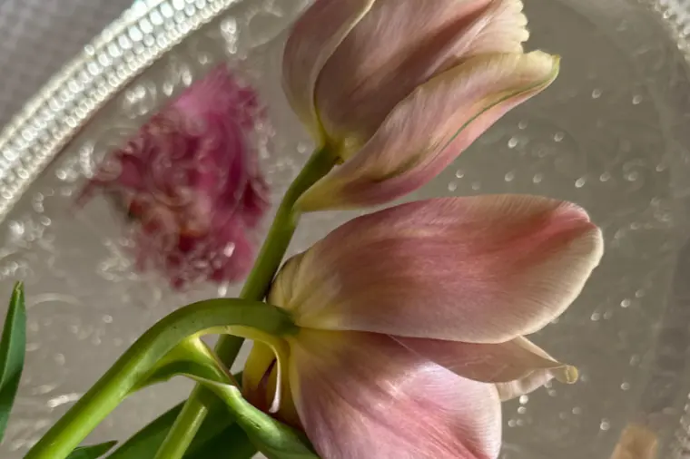 20代～アラフォー向け｜少人数制相談所aeta「旧姓に戻りたいと言ったら夫が怒ってしまった話」-1