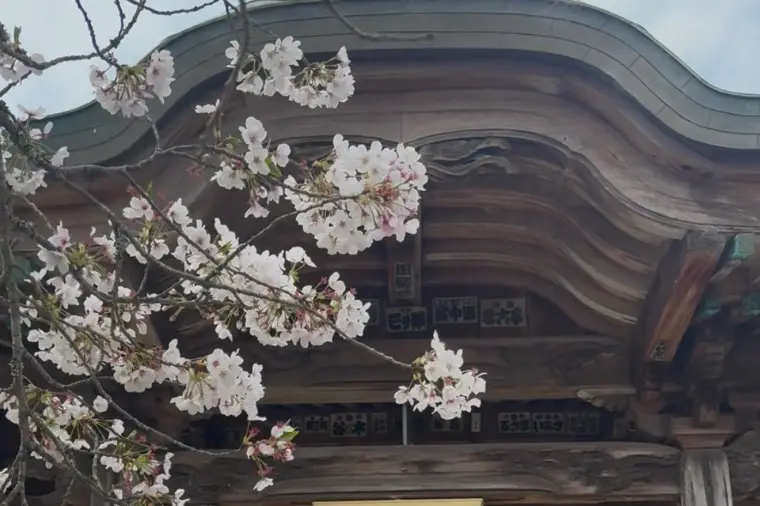 shiro ブライダルサポート「いろは市出店してきました」-1