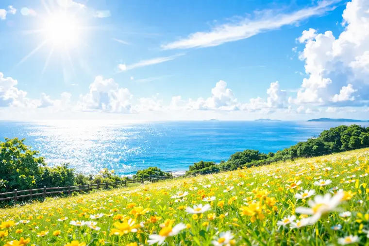 少しの気持ちの変化でお見合いお申込み数UP！！