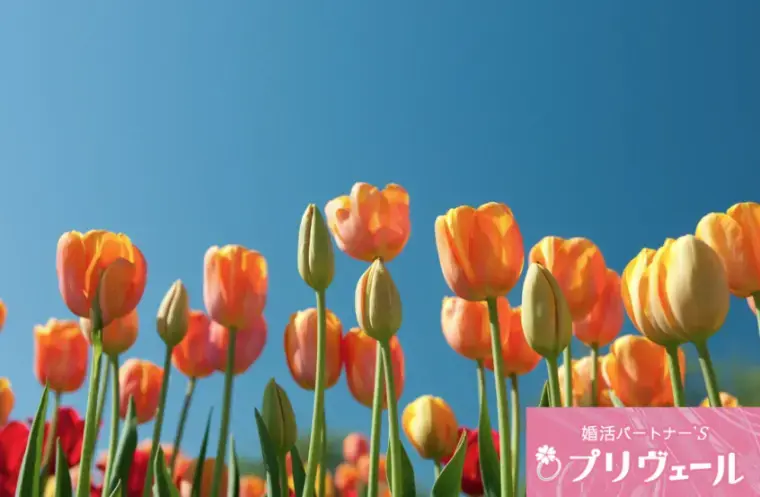 結婚相談所プリヴェール「恋愛心理学で見る「春に告白が成功しやすい理由」」- 3