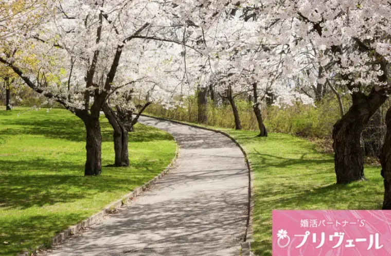 結婚相談所プリヴェール「50代からの婚活が春に動き出す理由」- 5