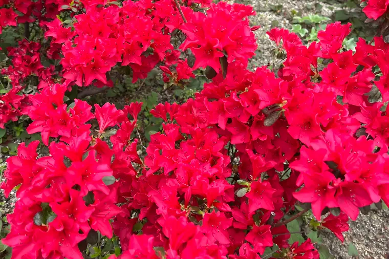 そろそろ婚活始めます！