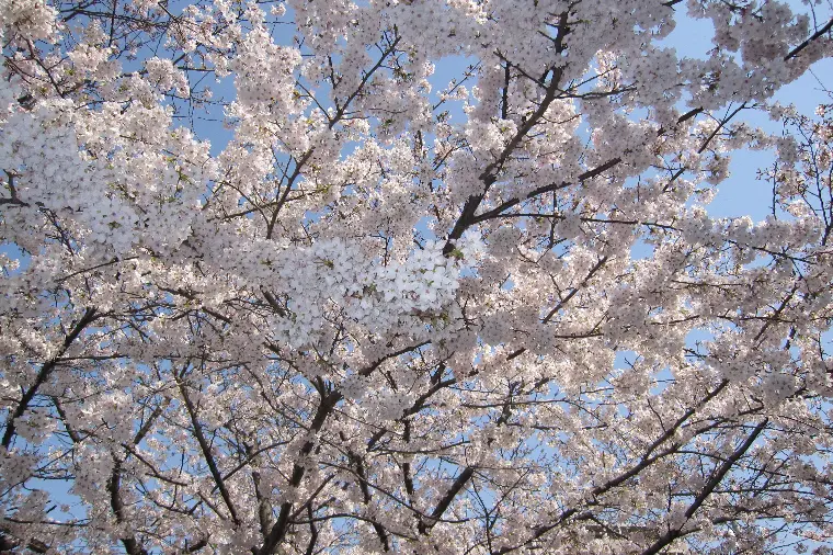 神戸結婚相談所 Honey Hunt「きっかけは何でもいい🐻」-1