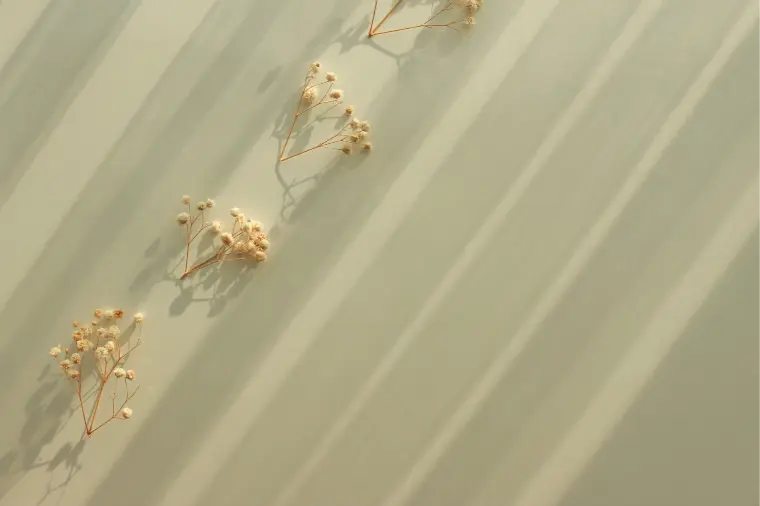 恋愛4年、婚活1年。その違いとは