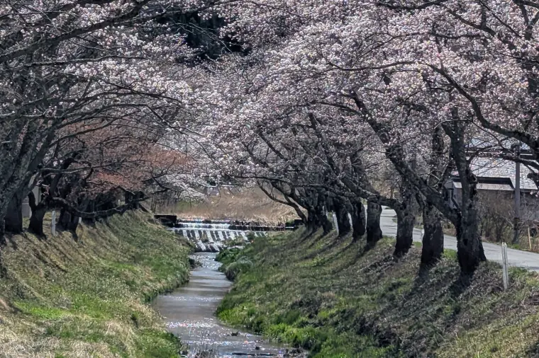 【仙台】結婚相談所カウンセラーこう子のある日・・・