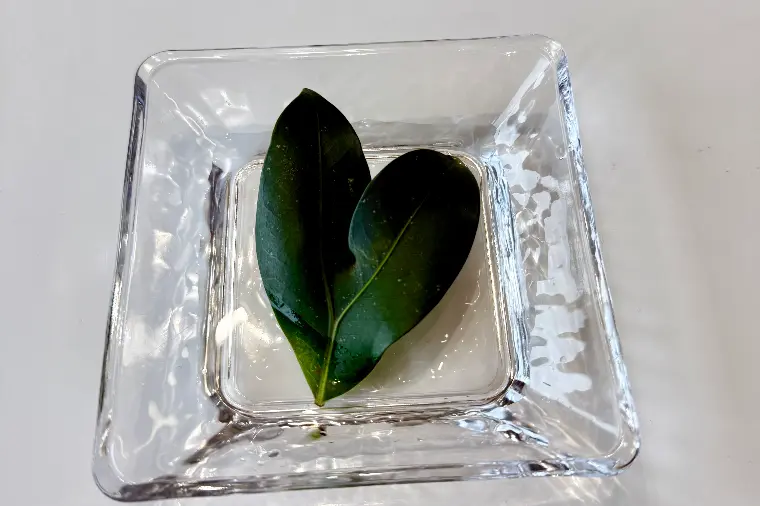 ♡型の榊は良縁の兆し