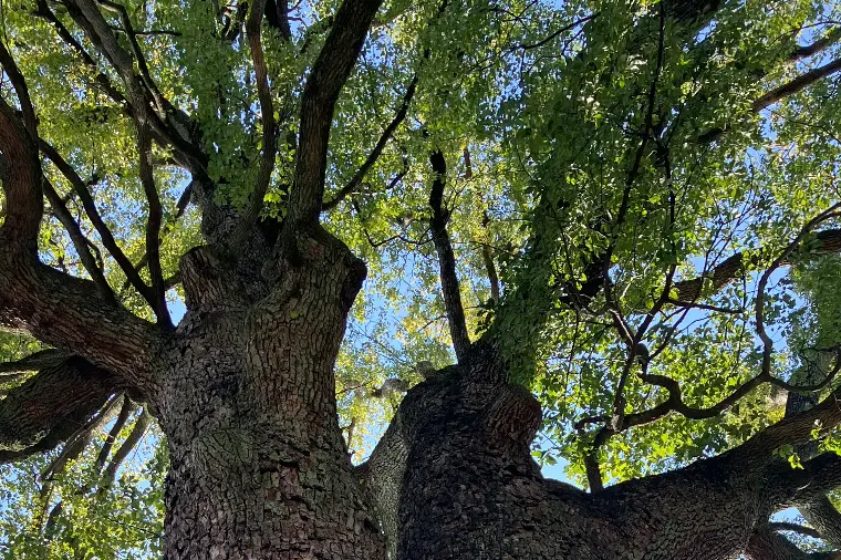 今さら→今から！