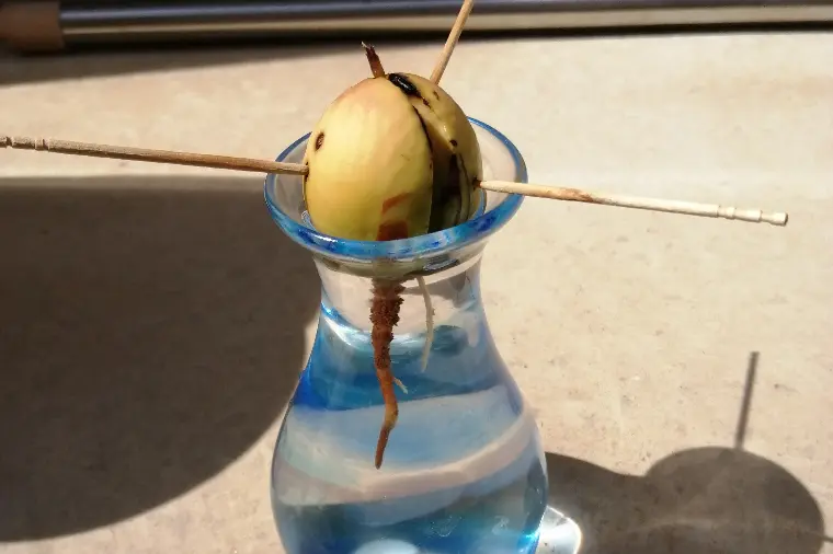 頑張ってるのにうまくいかない人”の共通点