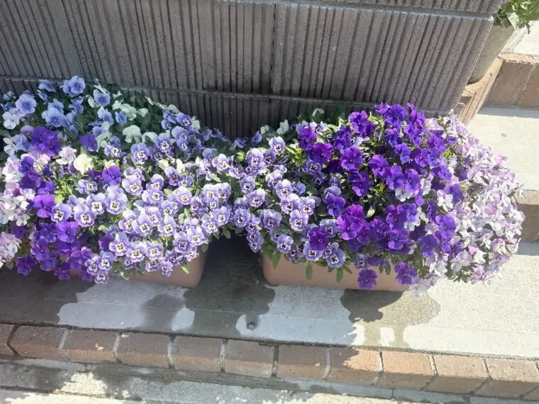 「ピンチはチャンス」婚活で掴みましょう！