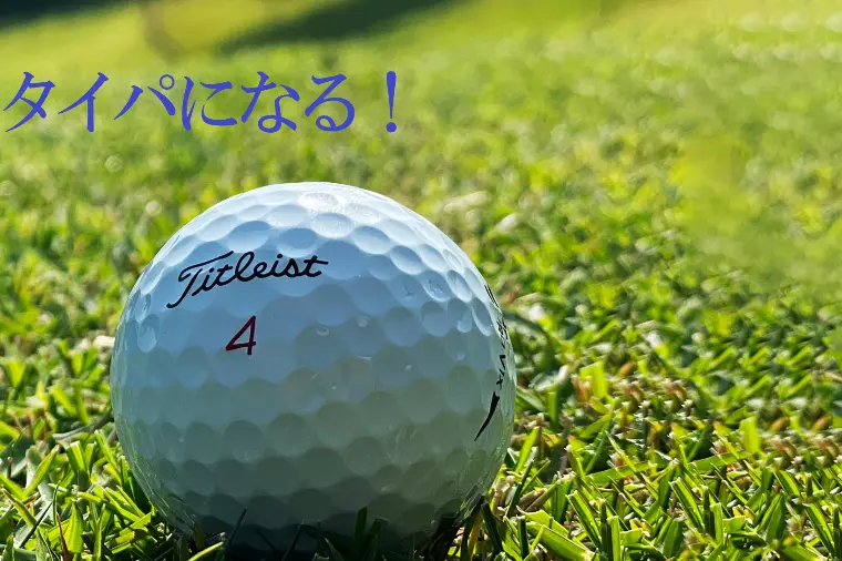 ゴルフコンパはタイパになります。