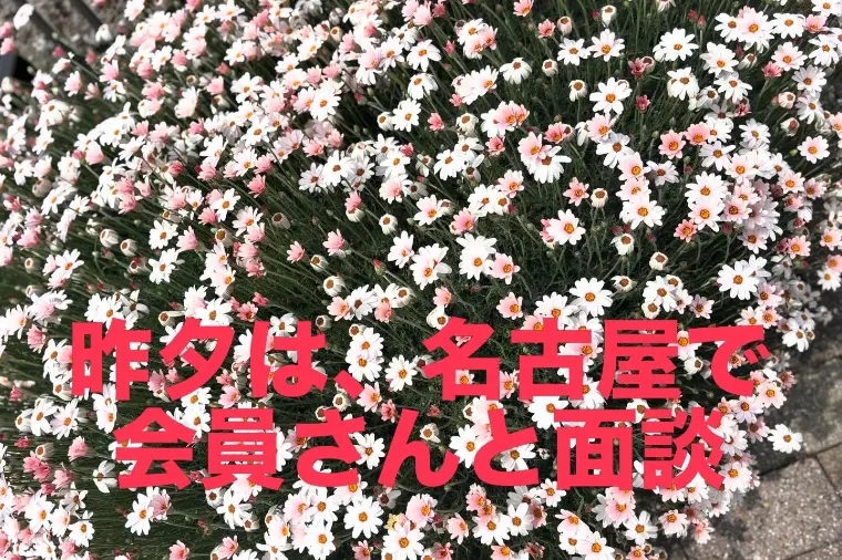 会員さんと面談