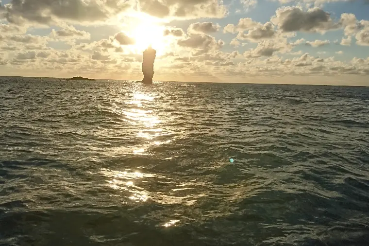 神戸結婚相談所 Honey Hunt「タイミング」-1