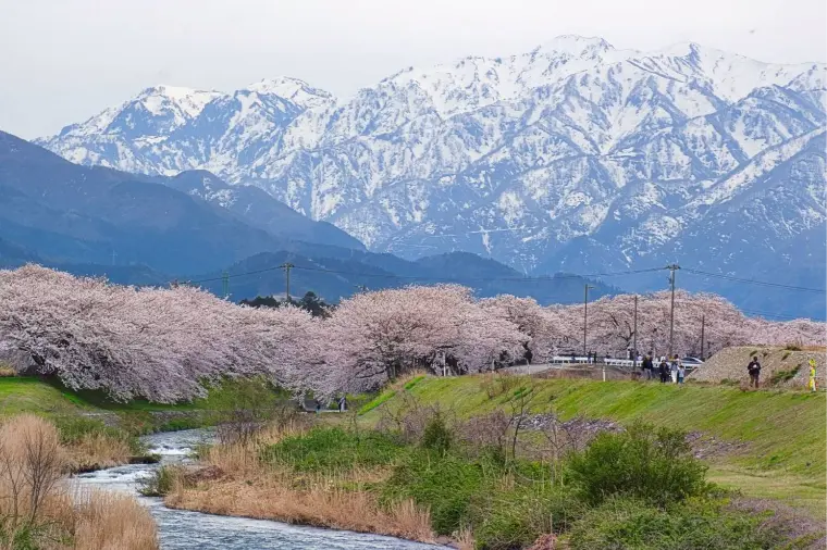 地方移住婚活：富山で見つける新しい出会い