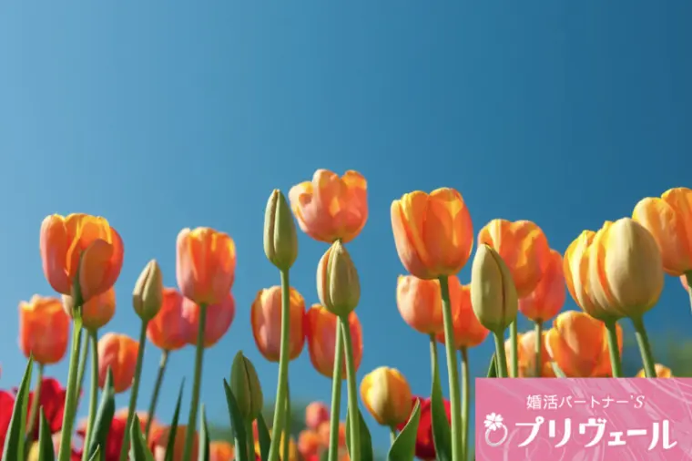 40代男性が春に婚活を始めるべきタイミング