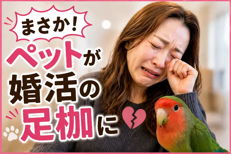 結婚相談所　and com 大阪「婚活の落とし穴「ペットの価値観」」-1