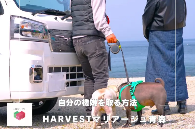 自分の機嫌を取る方法