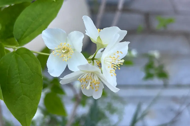 colors13「また会いたいと思える気持ち。」-1