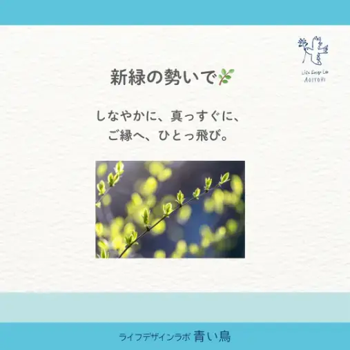 ライフデザインラボ 青い鳥「📣 5月婚活スタート！無料面談キャンペーン✨」- 2