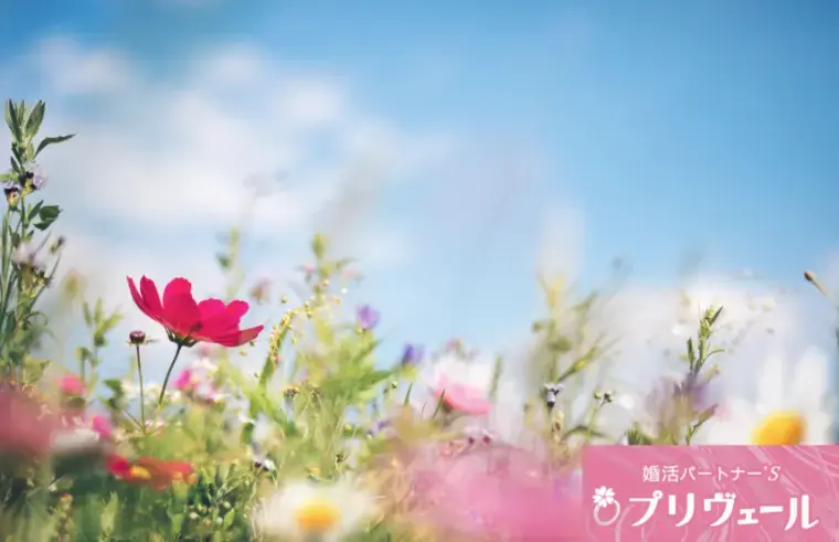 結婚相談所プリヴェール「春に出会ったカップルが結婚しやすい理由」- 2