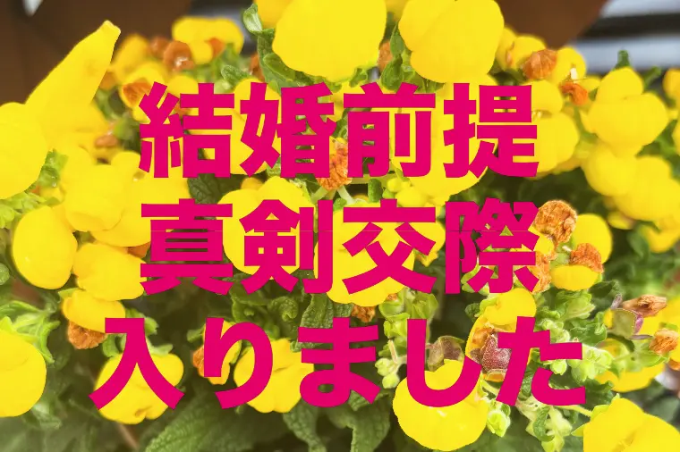真剣交際に入りました。