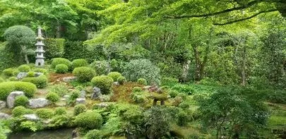 結婚相談所　ベルマリアージュ「令和最初のご成婚は・・・からだの弱かった３０代女性の結婚」-3