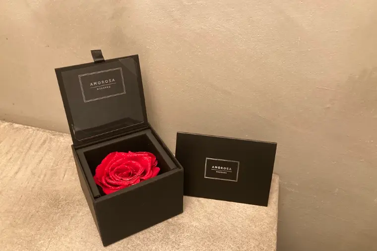30代後半女性❣️プロポーズをいただきました💍✨